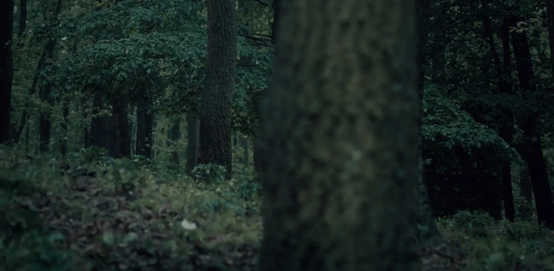 Ведьмак - 1 сезон 8 серия - 7 кадр